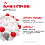 Royal Canin Chihuahua Adult Чихуахуа Эдалт Корм сухой для взрослых собак породы Чихуахуа от 8 месяцев 500г