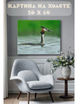 Картина на стену 40 X 50 Птица