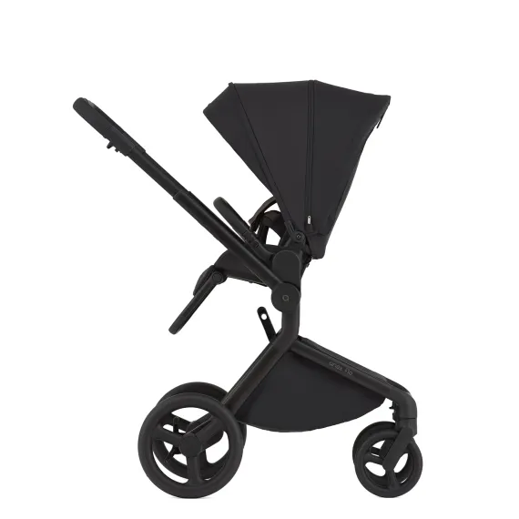 Коляска ANEX Flo 3 в 1 Lungo