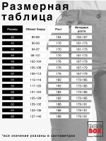 Брюки Скорая помощь демисезонные