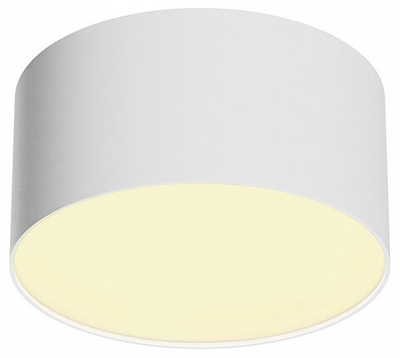 Накладной светильник Maytoni Technical Zon C032CL-12W2.7K-RD-W