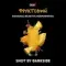 DARKSIDE SHOT - Фруктовый (120г)