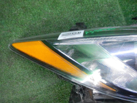 DSCN7313.JPG