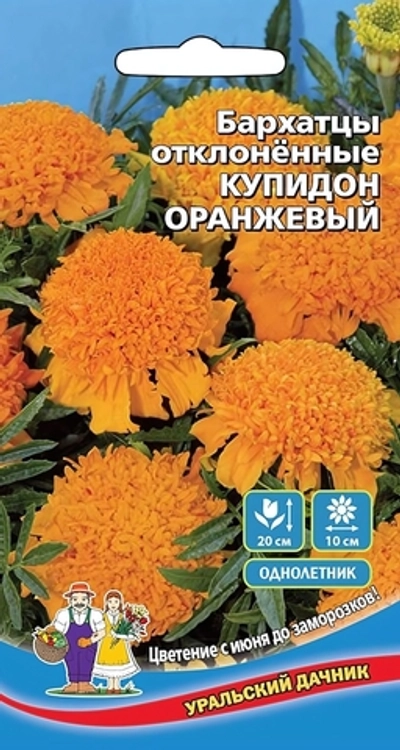 Семена Бархатцы отклоненные Купидон оранжевый 0,2гр (УД) Е/П