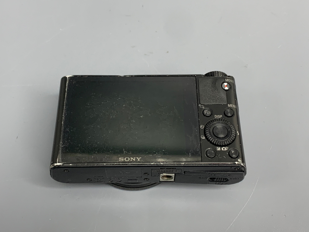 Sony RX100