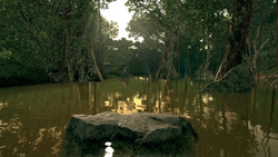 Ultimate Fishing Simulator - Amazon River (для ПК, цифровой код доступа)
