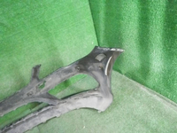 DSCN1880.JPG