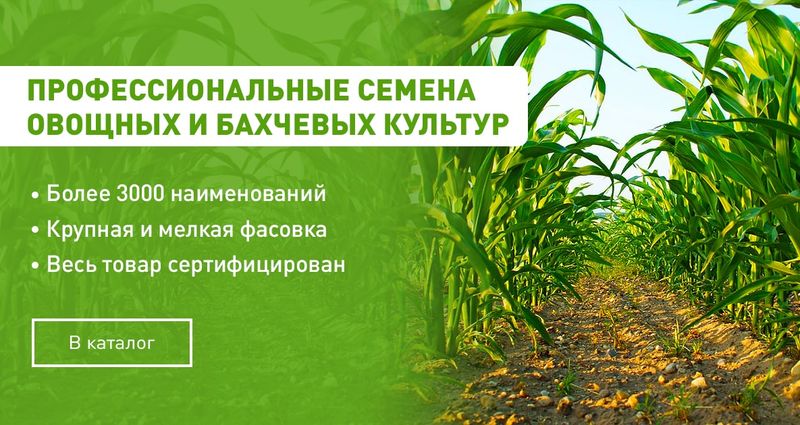 Каталог