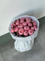 Букет моно из пионов сорта САЛМОН 21 шт