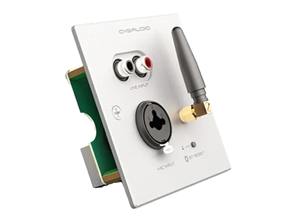 CVGAUDIO PW/EX-IN/W