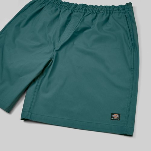 Шорты мужские Dickies Skateboarding 9