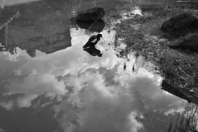 Компактный фотоаппарат Ricoh GR IV Monochrome