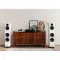 Radiotehnika Gamma 3.02 White Ash