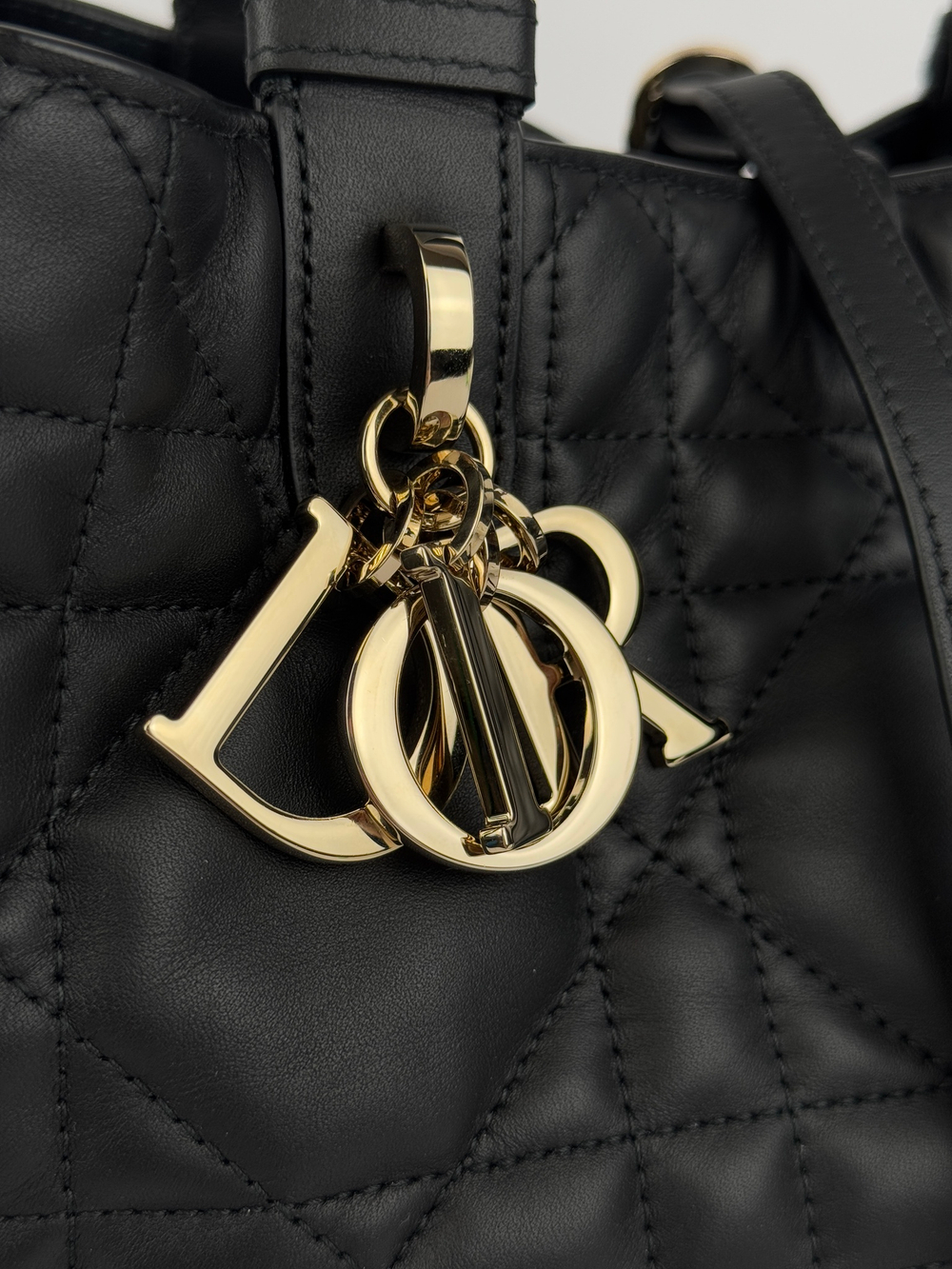 Сумка Christian Dior Toujours Bag