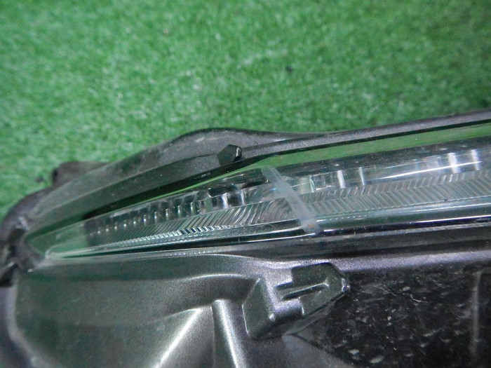DSCN5404.JPG
