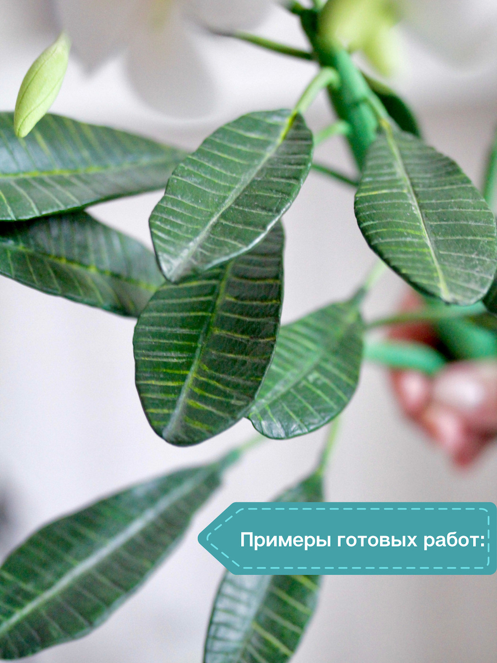 Молд F для лепки /пластиковая форма Лист Плюмерии Франжипани CLAYCRAFT BY DECO