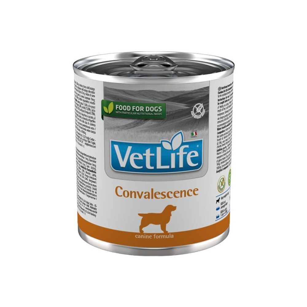 Фармина Vet Life Паштет для собак в период восстановления, 300г