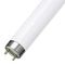 Лампа люминесцентная Osram L 36W/765 T8 36W 6500K G13 14543