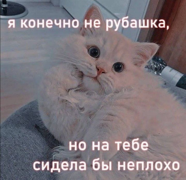 Сегодня не просто день. Сегодня — День Секса. 😋 Сегодня не просто день. Сегодня — День Секса. 😋