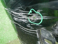 DSCN3475.JPG