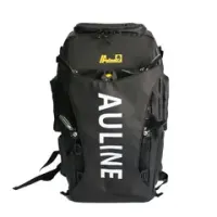 AULINE