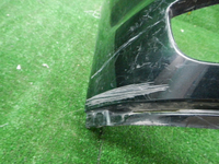 DSCN7800.JPG
