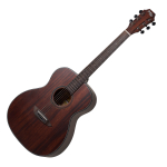 Акустическая гитара Gopherwood G210M