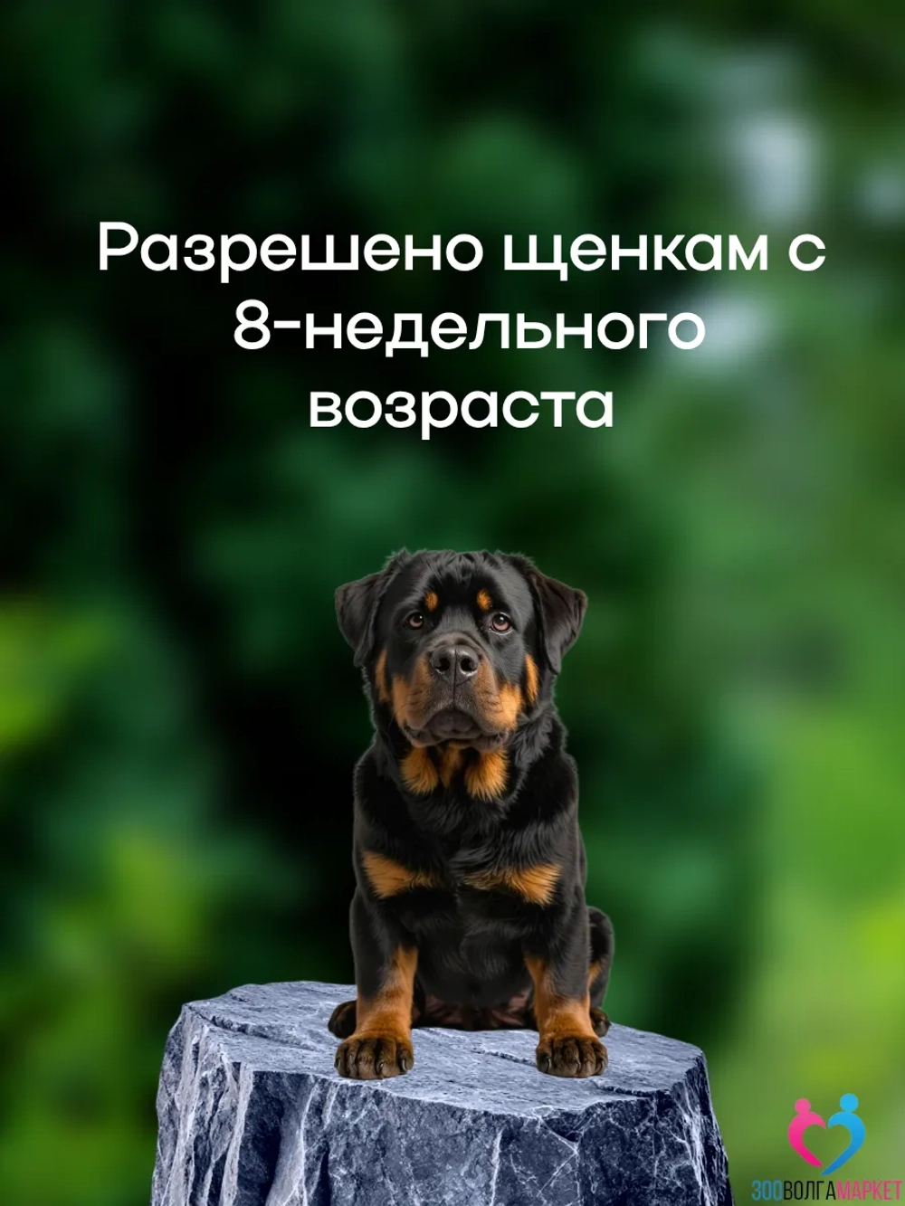 Бравекто для собак 20-40 кг, против блох и клещей