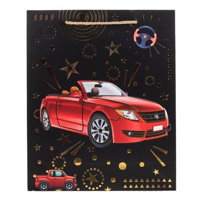 Пакет подарочный "Supercars"26*32*10см, тисн.золот, ручки-шнурок,4 диз.микс