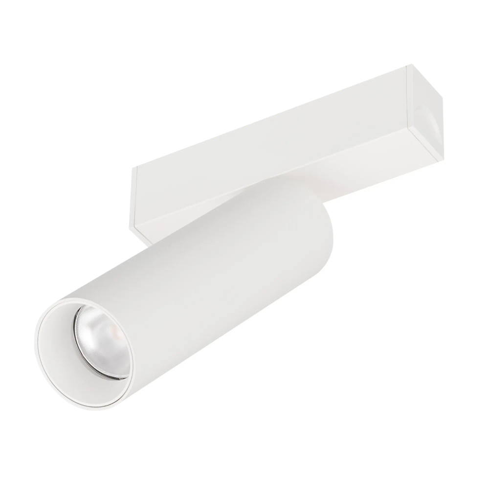 Светильник MAG-SPOT-25-R120-12W Day4000 (WH, 30 deg, 24V) (Arlight, IP20 Металл, 5 лет) 050076