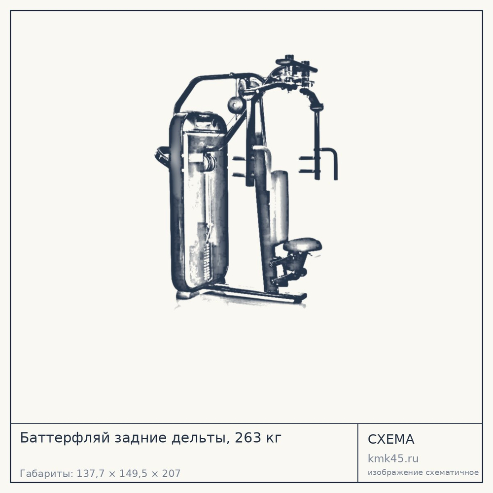 Баттерфляй задние дельты, 263 кг — от 307 000 ₽