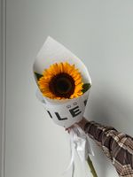 Кулек из подсолнуха