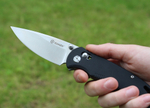 Нож складной Ganzo G7531-BK черный