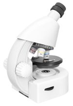 Микроскоп Levenhuk Discovery Micro с книгой, 77952