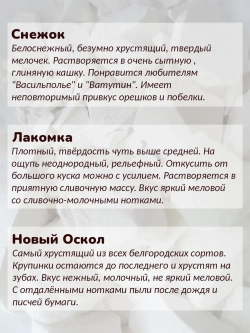 Сет "Новичок" 550