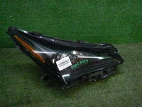 DSCN7666.JPG