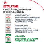Royal Canin Mini Adult Мини Эдалт Корм сухой для взрослых собак мелких пород от 10 месяцев и старше 800г