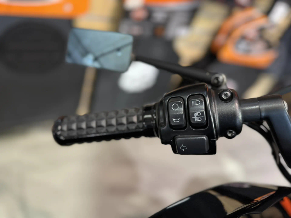 Harley-Davidson FXDR 114 (2018)