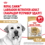 Royal Canin Labrador Retriever Лабрадор Ретривер Эдалт Корм сухой для взрослых собак породы Лабрадор Ретривер в возрасте от 15 месяцев 12кг