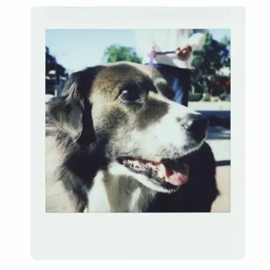 Картридж для камеры FujiFilm Instax Square, 20 снимков