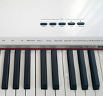 Sai Piano P-9BT
