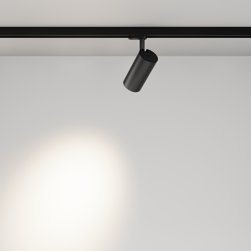 Трехфазный трековый светодиодный светильник Maytoni Focus Led TR197-3-30WCCT-M-B