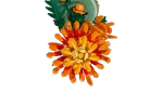 Конструктор LEGO Botanical Collection 10368 Хризантемы
