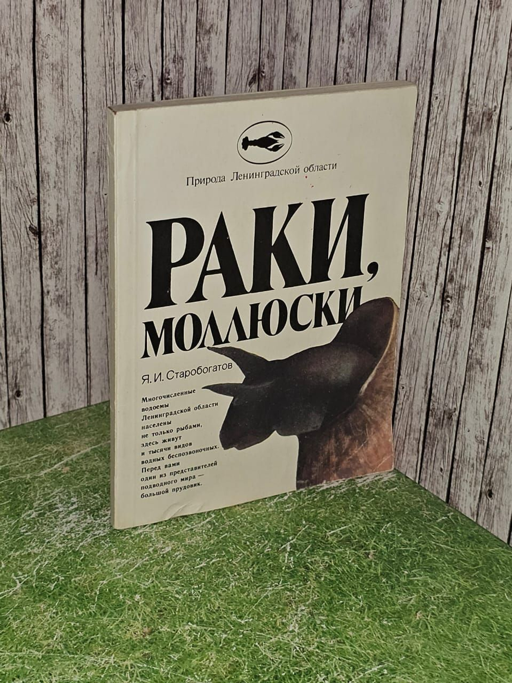Раки, моллюски. Старобогатов Ярослав Игоревич
