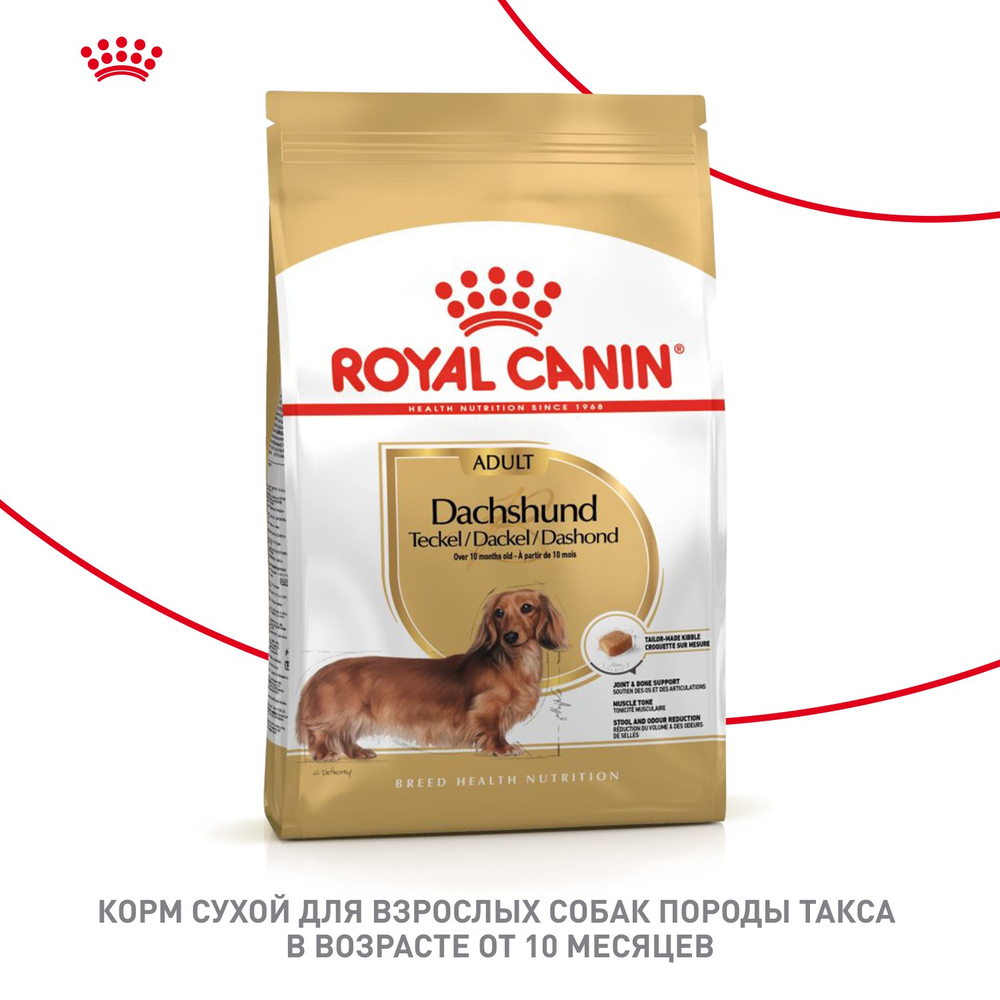 Royal Canin Dashshund Adult Такса Эдалт Корм сухой для взрослых собак породы Такса от 10 месяцев 7,5кг