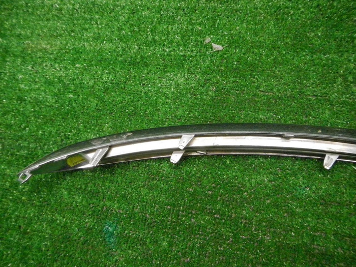 DSCN7299.JPG