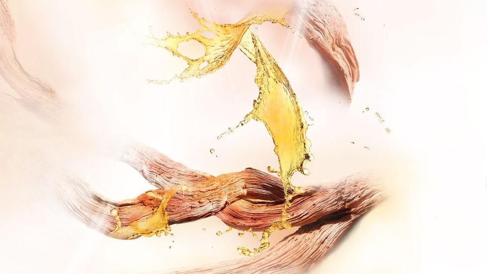 Montale Aoud Legend