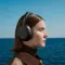 Sony WH-1000X The ColleXion Black