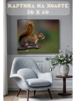 Картина на стену 40 X 50 Белка