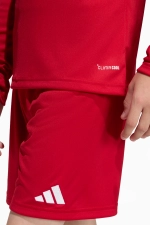 Футболка с длинными рукавами adidas Entrada 26 Детская - красный
